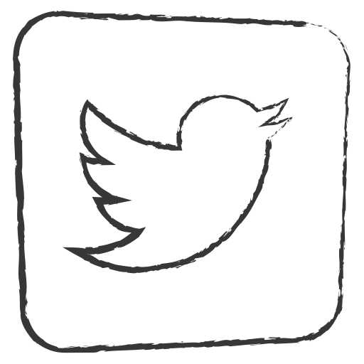 Media, social, twitter icon