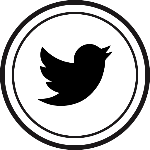 Media, online, social, twitter icon
