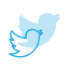 Social Media icon 64x64