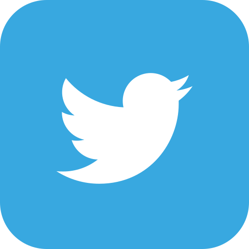 Connection, media, share, social, twitter icon