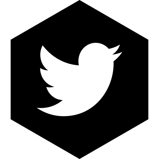 Hexagon, media, social, twitter icon