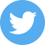 Social Media & Networks - Color Shapes icon 64x64