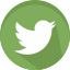 Green Social Media icons icon 64x64