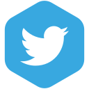 Connection,Media,Share,Social,Twitter