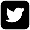 Bird,Media,Network,Social,Twitter