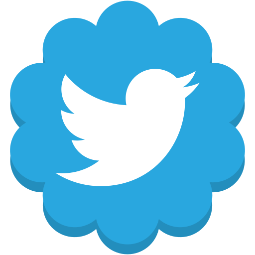 Flower, media, round, social, twitter icon