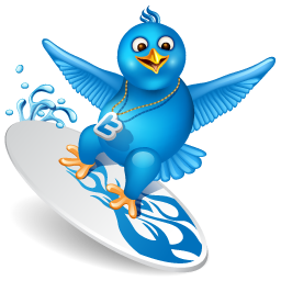 Bird, surfing, twitter icon