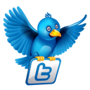 Bird,Twitter