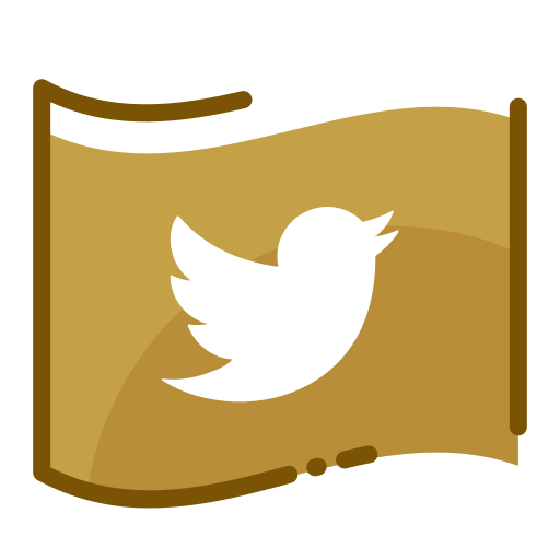 Media, network, social, twitter icon