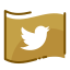 Social Media J.02 Gold icon 64x64