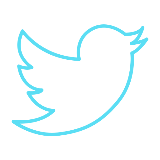 Media, social, twitter icon
