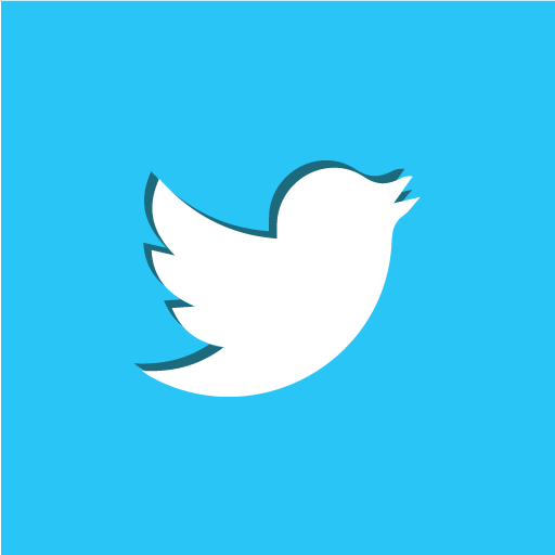 Twitter, bird, social icon