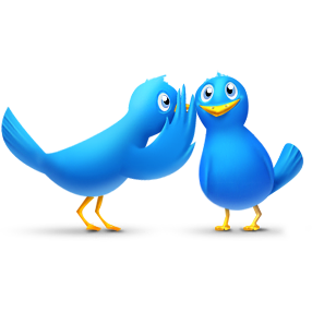 Animals, bird, birds, chat, talk icon