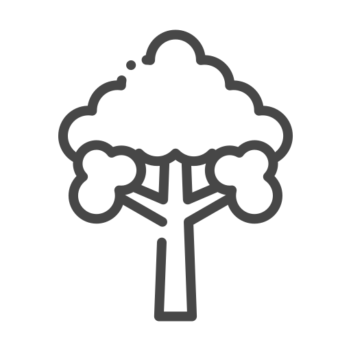 Eco, ecology, nature, organic, tree icon