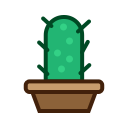 Cactus,Furniture,Nature,Plant,Tree