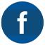 Social Media Filled Circle icon 64x64