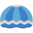 animals,aquarium,sea life,aquatic,seashell ok 