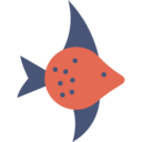 animals,fish,aquarium,sea life,animal,aquatic ok 