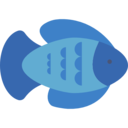 animals,fish,aquarium,sea life,animal,aquatic ok 