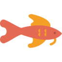 animals,fish,aquarium,sea life,animal,aquatic ok 