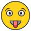 Favicon
