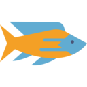 animals,fish,aquarium,sea life,animal,aquatic ok 