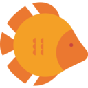 animals,fish,aquarium,sea life,animal,aquatic ok 