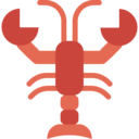 food,animals,sea life,animal,lobster