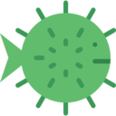 animals,fish,aquarium,sea life,animal,aquatic ok 