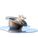 Animal,Chapeau,Eau,Hat,Mouse,Pool,Rat,Souris,Water