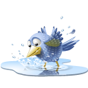 Animal, bird, pool, tweet, water icon