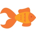 animals,aquarium,sea life,aquatic,ocean,goldfish