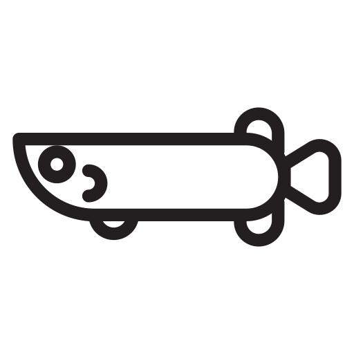 Arapaima, animal, fish, pet, water, wild, zoo icon
