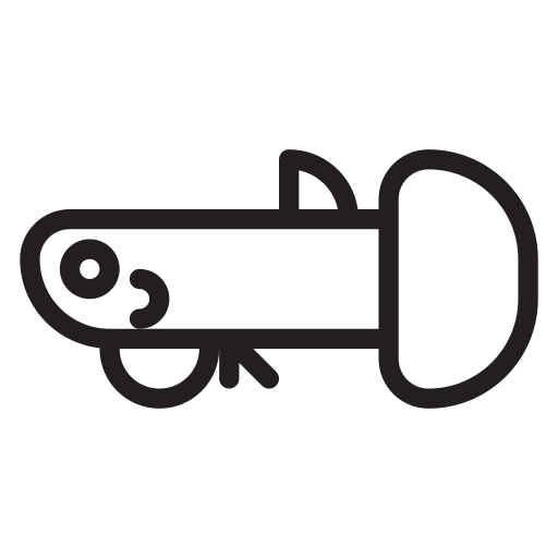 Female, fish, gupy, animal, pet, water icon