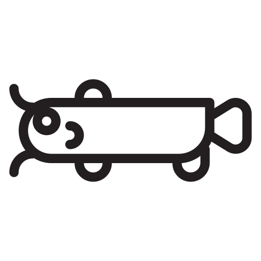 Catfish, animal, fish, fishing, pet, water, wild icon