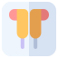 Music Player icon 64x64