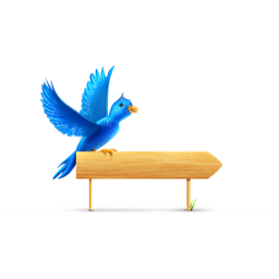 Bird, sign icon