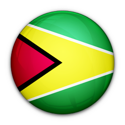 Of, flag, guyana icon