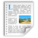 Text,Document,File ok 