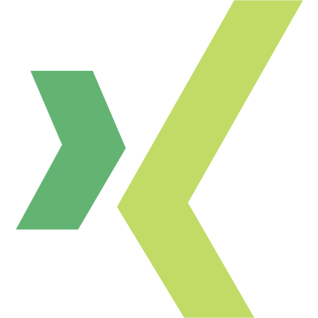 Brand, logo, network, social, xing icon