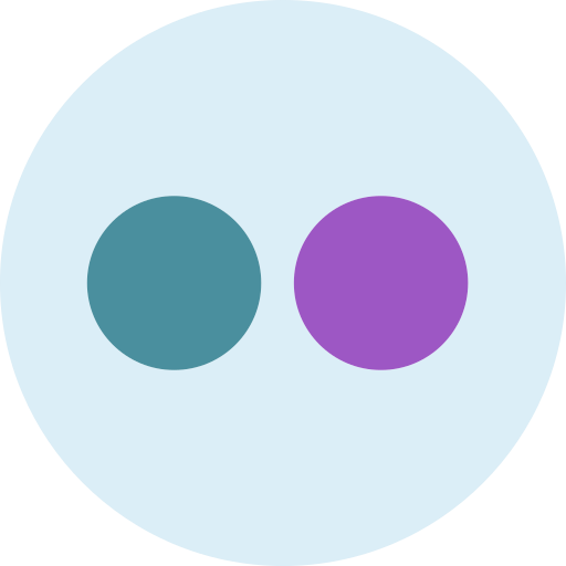 Brand, flickr, logo, network, social icon