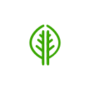 Earth,Element,Green
