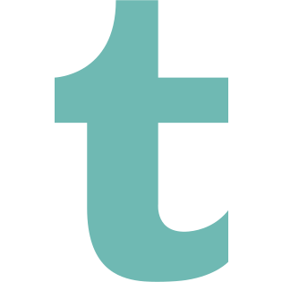 Brand, logo, network, social, tumblr icon