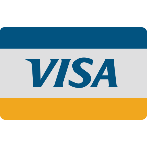Card, cash, checkout, credit, visa icon