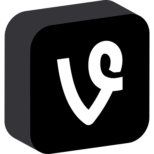 Media, network, social, vine icon