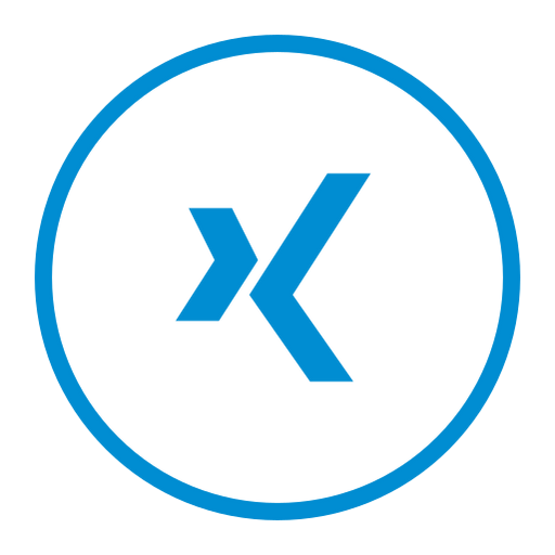 Circle, xing, media, network, round, social icon