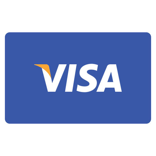 Card, income, pattern, paying, payment, visa icon