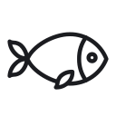Background,Black,Concept,Fish,Flat,Food,Fruit,Grocery,Illustration,Isolated,Line,Market,Minimal,Nutrition,Purchase,Sale,Store,Supermarket,Symbol,Vector,White