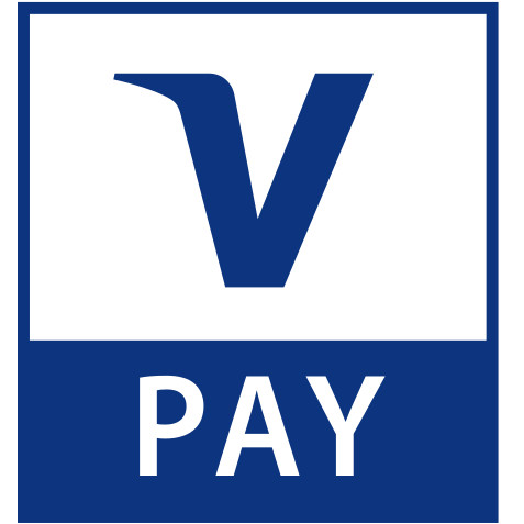 Pay, visa icon