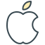 Favicon